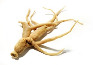 La radice di ginseng e le sue proprietà incredibili