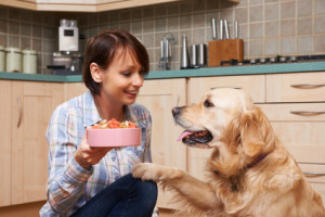 mangiare per cani