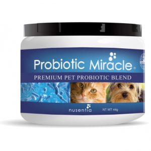 probiotic miracle per cane