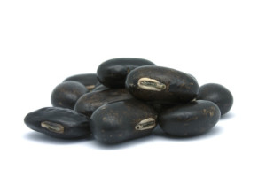 mucuna pruriens